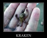 Kraken's Photo