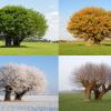 Four Seasons's Photo