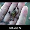 Kraken's Photo